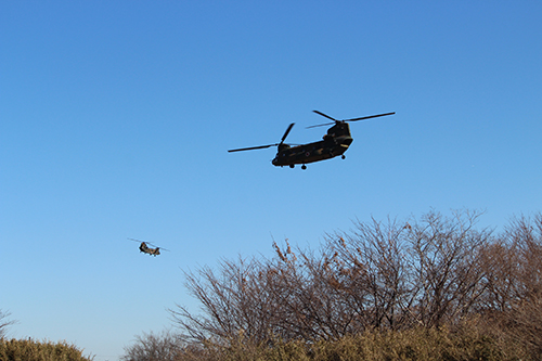 陸上自衛隊習志野演習場を飛行中の大型輸送ヘリコプター CH-47JA「チヌーク」