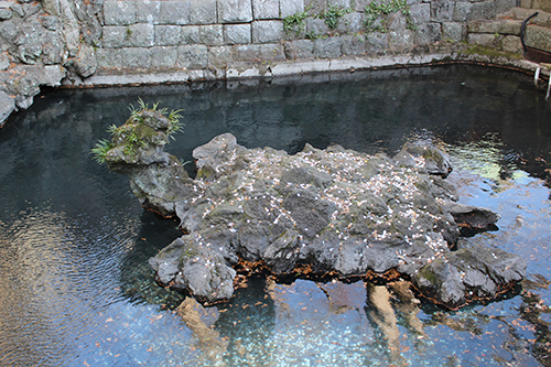成田山新勝寺の参拝前の石段途中の池・右側