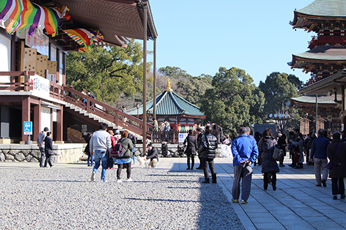 成田山新勝寺の本堂横